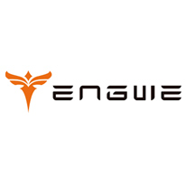 Engwe Bikes Logo